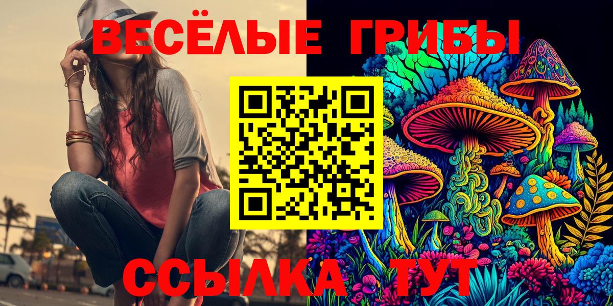 Орехово-Зуево  дарнет шоп  Вход с VPN  Галлюциногенные грибы GOLDEN TEACHER 